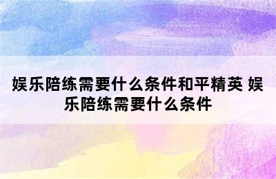 娱乐陪练需要什么条件和平精英 娱乐陪练需要什么条件